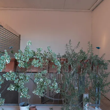 La Strea Apartman *